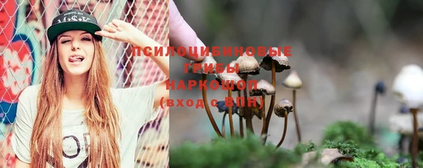 а пвп мука Навашино