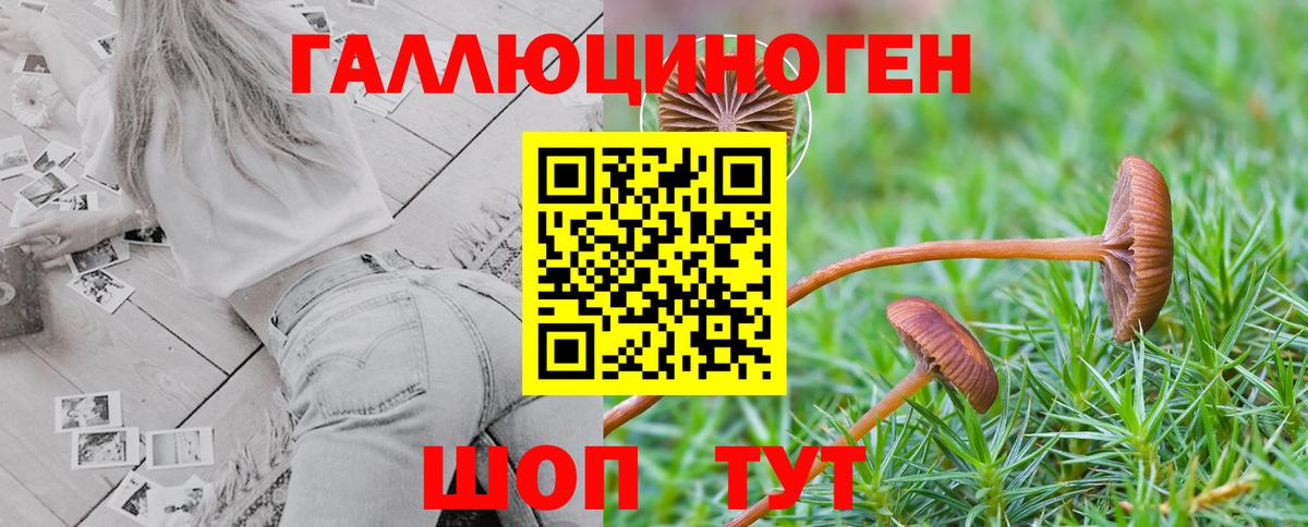 Владивосток  продажа наркотиков  Галлюциногенные грибы GOLDEN TEACHER  Вход с VPN  Псилоцибиновые грибы мухоморы 