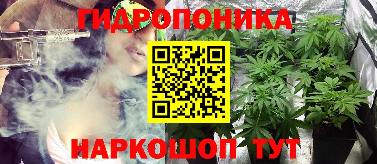 Конопля OG Kush  МАРИХУАНА тримм  МАРИХУАНА Amnesia  Бошки Шишки LSD WEED  Вход с VPN  Владивосток 